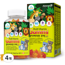 네추럴라이즈 멀티비타민 꾸미 60p, 60정, 4개