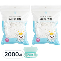 로얄클라쓰 교정 일회용 치간 치실 1010p + 케이스, 2000개, 1개