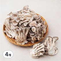 국내산 친환경 느타리버섯, 1kg, 4개