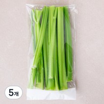 친환경 셀러리 스틱, 250g, 5개