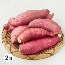 못생겨도 맛있는 밤고구마, 1.5kg, 2개