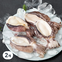살맛나요 탱글탱글 손질 갑오징어 (냉장), 400g, 2개