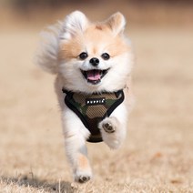 퍼피아 어깨 버클 하네스, 카모