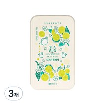 쌍계명차 티허그 티캔 지리산 돌배차, 2.5g, 12개, 3개