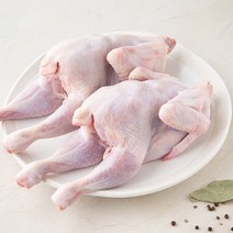 곰곰 두마리 영계 (냉장), 500g, 2개입