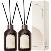 제이숲 딥그린제이 퍼퓸 디퓨저 300ml 2개, 블랙체리