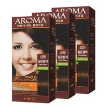 에네스티 아로마 염모제 새치머리용, 4/0 짙은밤색, 3개