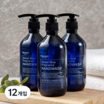 탐사 핸드워시 오션블루향, 300ml, 12개입