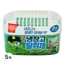 산도깨비 큰 냉장고 탈취제 본품 녹차, 420g, 5개