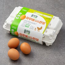 풀무원 무항생제 1등급 계란 15구, 780g, 1개