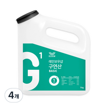 레인보우샵 G1 구연산 베이직 왕톡톡이, 1kg, 4개
