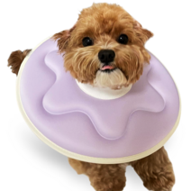 더플래 반려동물 반반 초경량 넥카라, 퍼플 + 옐로