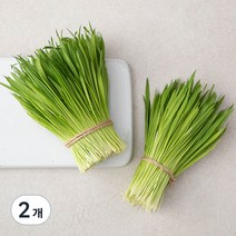 국내산 친환경 보리순, 150g, 2개