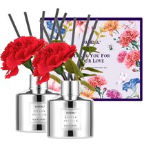 쿤달 퍼퓸 디퓨저 카네이션 에디션 200ml 2p, 2개, 블랙체리