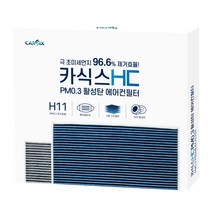 카식스 HC PM0.3 활성탄 에어컨필터 더넥스트스파크, 1개