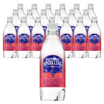 탐사 스파클링 자몽, 500ml, 20개