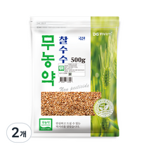 대구농산 무농약 찰수수, 500g, 2개