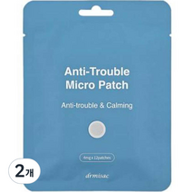 드르미삭 스팟패치 마이크로 니들패치, 12개입, 2개