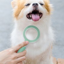 바비온 360 반려동물 빗, 아쿠아민트, 1개
