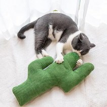 파스텔펫 냥이 선인장 캣닢 쿠션, 타입H, 1개