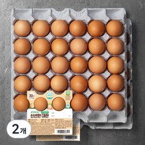 무항생제 신선한 대란, 30구, 2개