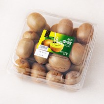 제주 참다래, 2.2kg, 1개
