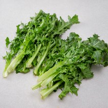 국내산 치커리, 300g, 1봉