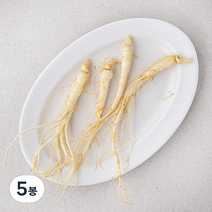삼계탕용 금산 세척 수삼, 60g, 5봉