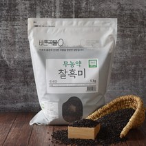 바른곡물 무농약 찰흑미, 5kg, 1개