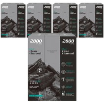 2080 퓨어 블랙 차콜민트 치약, 120g, 15개