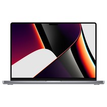 Apple 2021 맥북프로 16, 스페이스그레이, M1 Max 10코어, GPU 32코어, 1024GB, 32GB