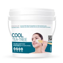 린제이 프리미엄 티트리 모델링팩 820g, 1개입, 1개