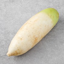 곰곰 제주도 친환경 무, 1개