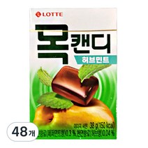 롯데제과 목캔디 허브민트, 38g, 48개