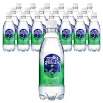 탐사 스파클링 청포도, 500ml, 20개