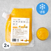 자일로스 담은 수제과일청 망고 (냉동), 1kg, 2개