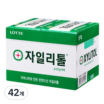 롯데제과 자일리톨 판 23g, 42개