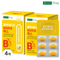 건국유업 활력 에너지 비타민B 맥스 22.5g, 30정, 4개, 30정