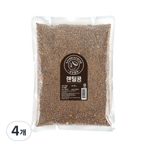 월드그린 싱싱 렌틸콩, 4개, 800g