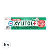 자일리톨 F 츄잉껌, 25g, 6개