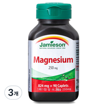 자미에슨 마그네슘 250mg, 90정, 3개