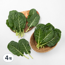 곰곰 케일, 300g, 4개