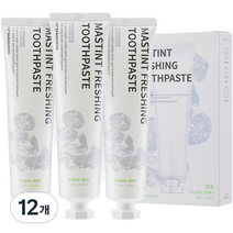 닥터방기원 매스틴트 프레싱 치약 플로럴민트향, 150g, 12개