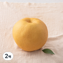 원농산 당도선별 신고배, 2팩, 800g