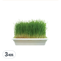 영수네 고양이 캣그라스 재배기 캣닢 + 보리 + 밀 세트, 3세트, 보리씨앗 + 밀씨앗 + 캣닢씨앗 혼합맛