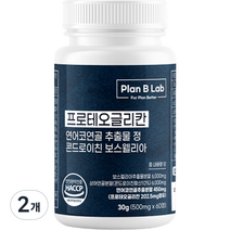 플랜비랩 프로테오글리칸 연어코 연골 추출물 콘드로이친 보스웰리아 구절초 우슬 30g, 60정, 2개