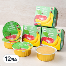누바 유기농 생과일 아이퓨레 바나나, 100g, 12피스