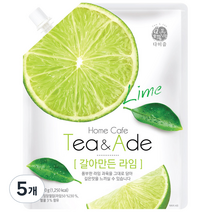 다미즐 갈아만든 라임액, 500g, 5개