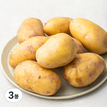 한입 골든킹 감자, 1.2kg, 3봉