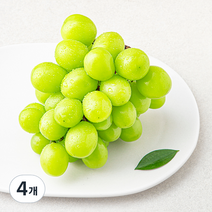 곰곰 비파괴 당도선별 샤인머스캣, 4개, 500g